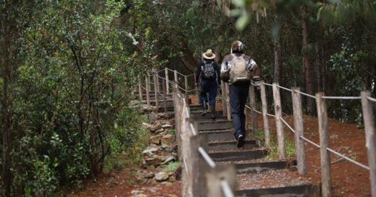 Caminatas ecológicas enero 2024