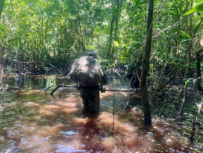 En combates con el ejército fueron reportados al menos nueve muertos de las Disidencias de las Farc 